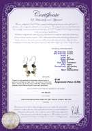 Product certificate: ZFED-9-MGRN